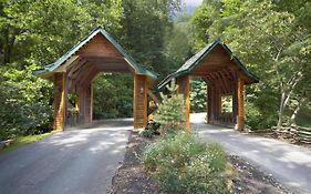 Bear Crossing #6
